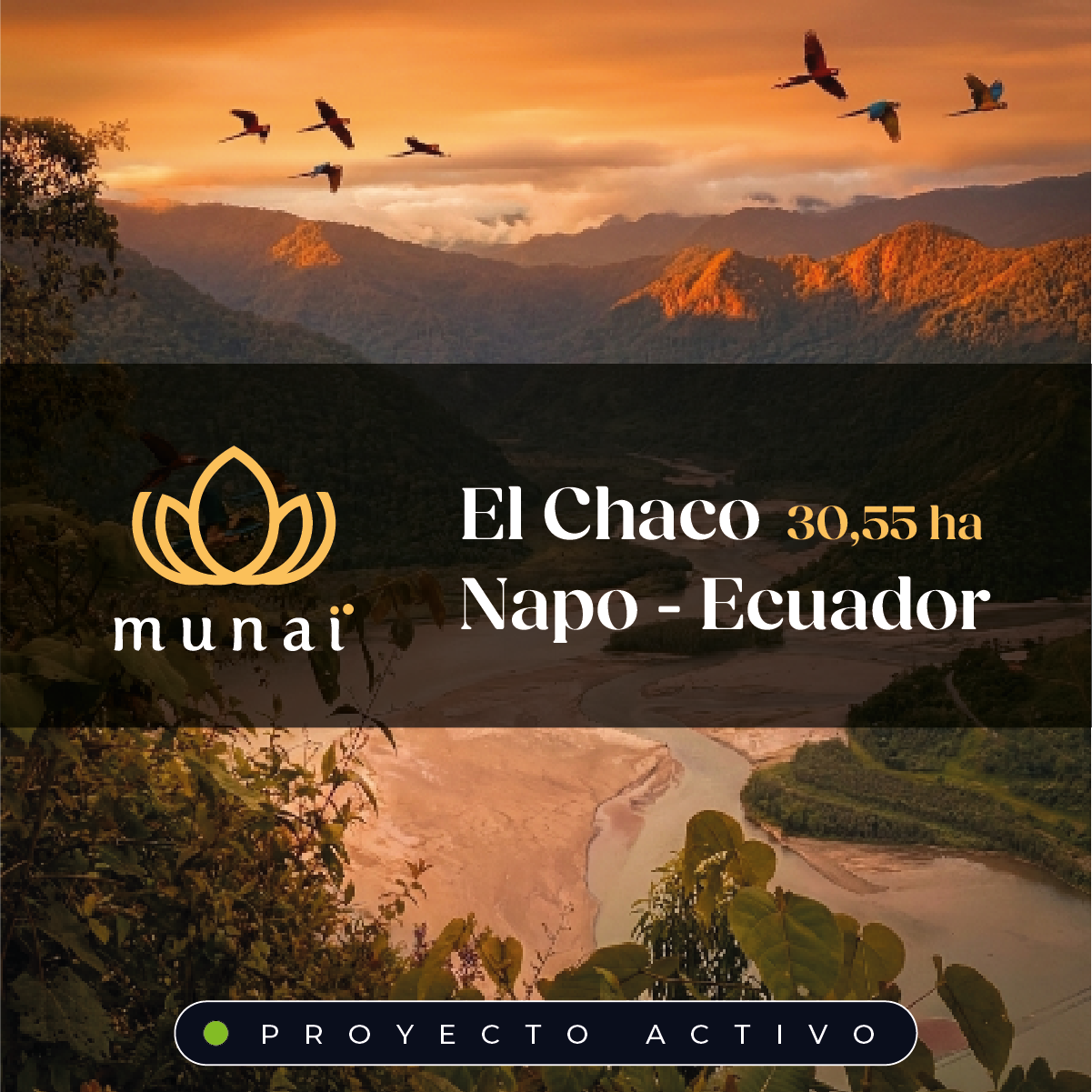 EL CHACO INFO